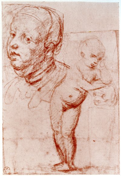 Estudios, 1913 de Albrecht Dürer