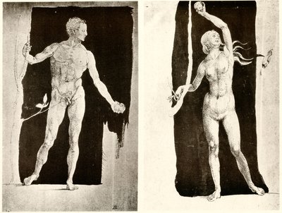 Estudios de Adán y Eva de Albrecht Dürer