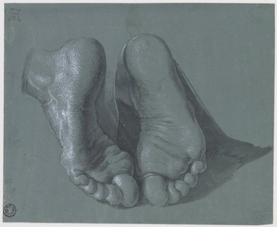Estudio de dos pies, c.1508 de Albrecht Dürer