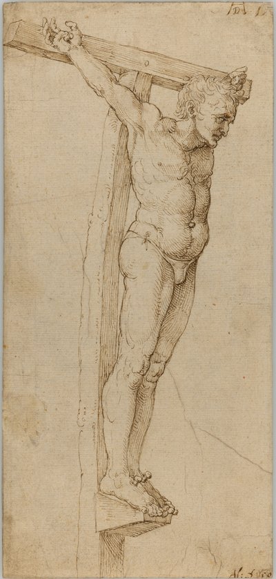 Estudio del Buen Ladrón de Albrecht Dürer