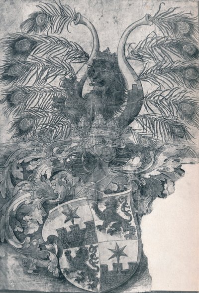 El Escudo de Armas de Wilhelm y Wolfgang Roggendorff, 1520 1906 de Albrecht Dürer