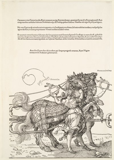  de Albrecht Dürer
