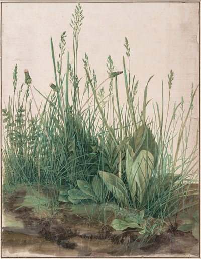 El gran trozo de césped de Albrecht Dürer