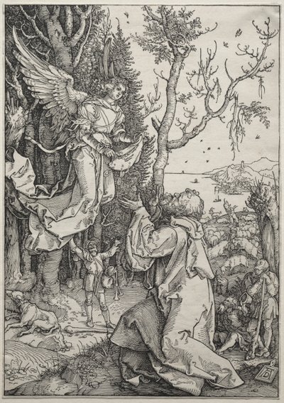La vida de la Virgen: Joaquín y el ángel de Albrecht Dürer