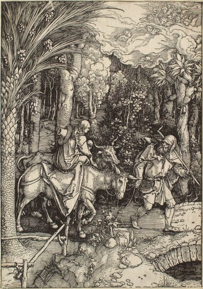  de Albrecht Dürer