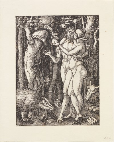  de Albrecht Dürer