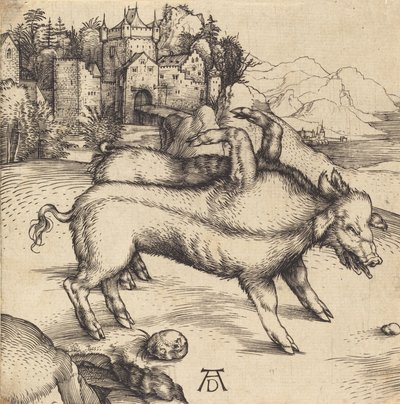 El cerdo monstruoso de Landser, probablemente 1496 de Albrecht Dürer