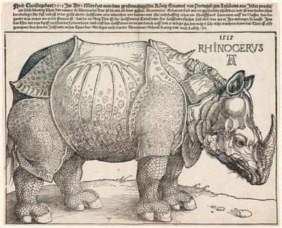 El rinoceronte de Albrecht Dürer