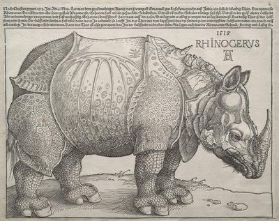 The Rhinoceros de Albrecht Dürer