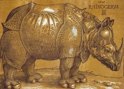 El rinoceronte, 1515 de Albrecht Dürer