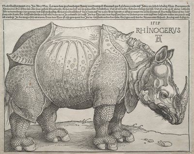 El Rinoceronte, 1515 de Albrecht Dürer