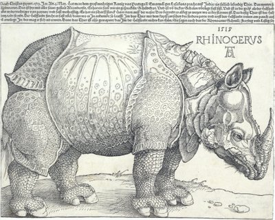El rinoceronte de Albrecht Dürer