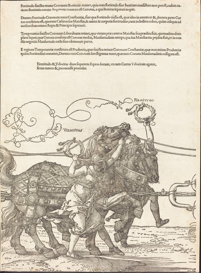 El carro triunfal de Maximiliano I (El gran carro triunfal) [lámina 5 de 8] de Albrecht Dürer