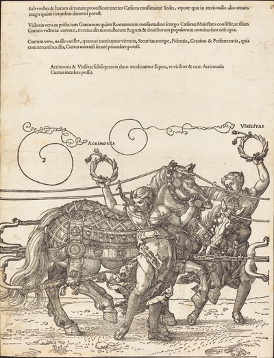El carro triunfal de Maximiliano I (El gran carro triunfal) [lámina 6 de 8] de Albrecht Dürer