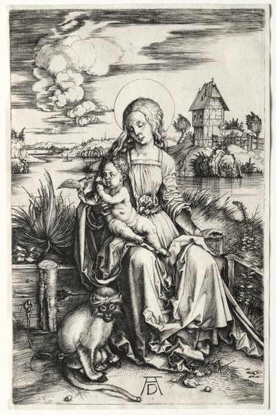 La Virgen y el Niño con un mono, c. 1498 de Albrecht Dürer