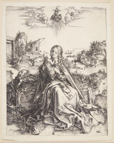 La Virgen con la libélula de Albrecht Dürer