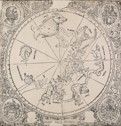 El mapa celestial del hemisferio sur, principios del siglo XVI de Albrecht Dürer