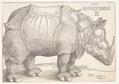 El rinoceronte de Albrecht Dürer