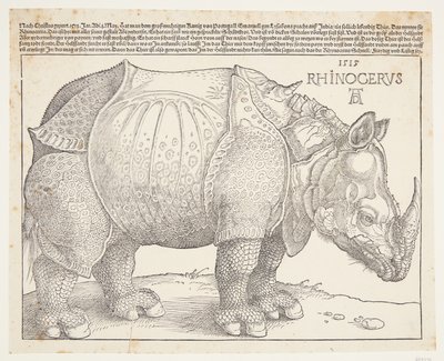 El rinoceronte de Albrecht Dürer