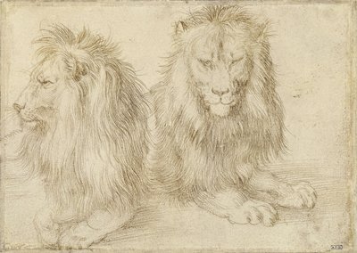 Dos leones sentados de Albrecht Dürer