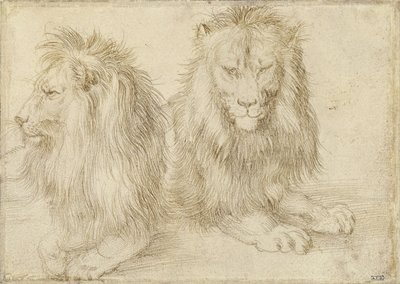 Dos leones sentados, 1521 de Albrecht Dürer