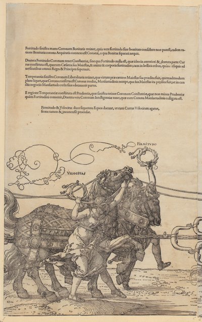  de Albrecht Dürer