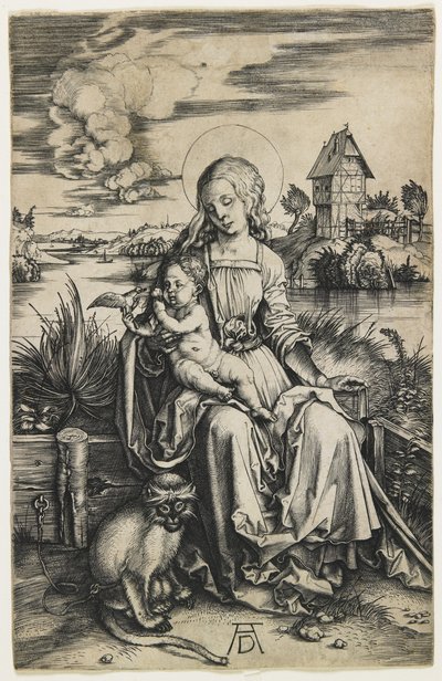 Virgen y Niño con el Mono, c. 1498 de Albrecht Dürer