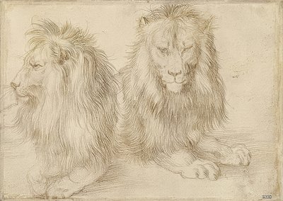 Dos leones acostados. 1521 de Albrecht Dürer