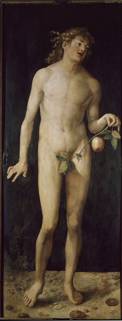 Adán de Albrecht Dürer