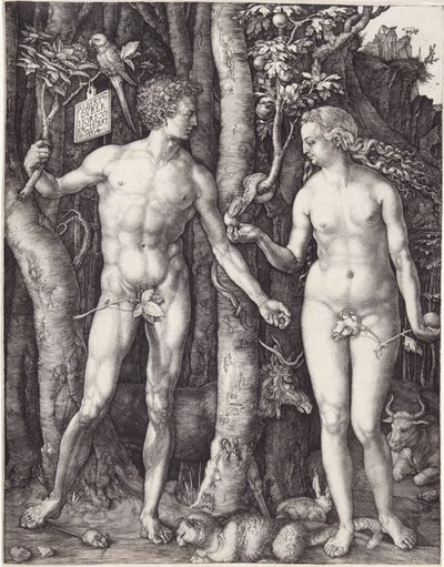 Adán y Eva, pub. 1504 de Albrecht Dürer