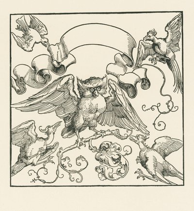 Un búho atacado por otros cuatro pájaros, c.1515 (xilografía) de Albrecht Dürer or Duerer