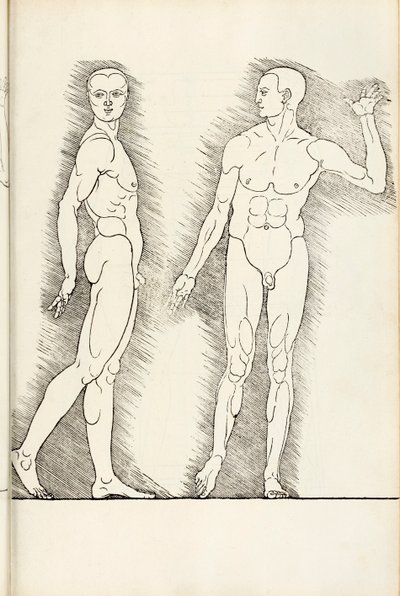 Xilografía anatómica de Hierinn sind begriffen vier bücher von menschlicher Proportion, 1528 de Albrecht Dürer