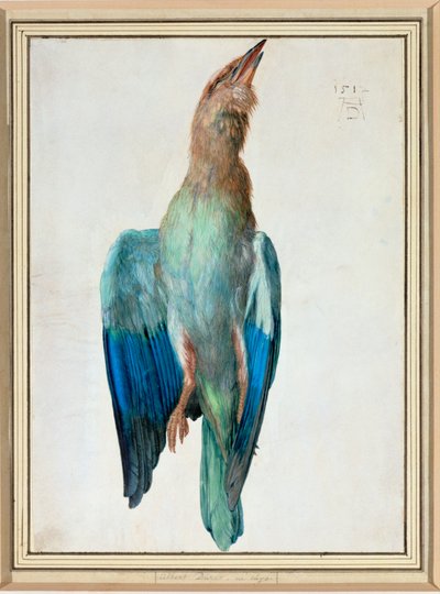 Rodillo azul de Albrecht Dürer or Duerer