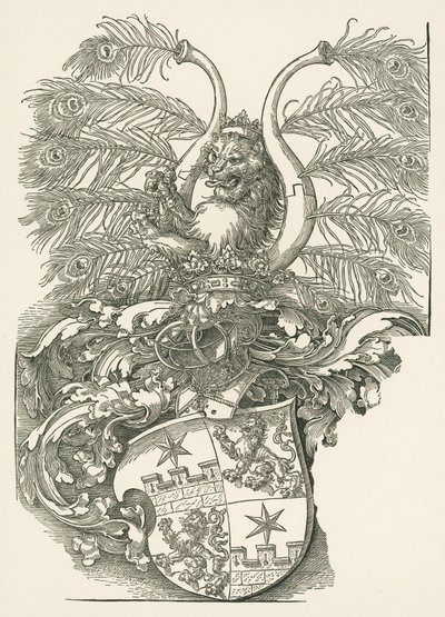 Escudo de armas de Roggendorf de Albrecht Dürer or Duerer
