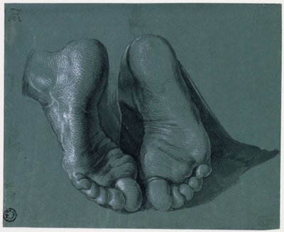 Etude de pieds - Estudio de dos pies - Dibujo de Albrecht Durer (1471-1528), acuarela, color blanco, tiza negra sobre papel, c1508 (17,6x21,6 cm) - Museo Boijmans Van Beuningen, Rotterdam de Albrecht Dürer