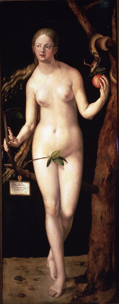  de Albrecht Dürer or Duerer