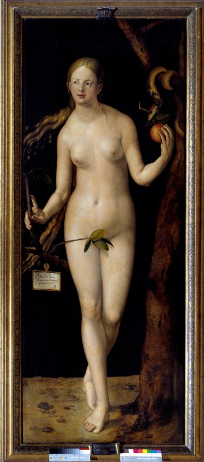 Eva. Pintura de Albrecht Durer (1471-1528) de Albrecht Dürer