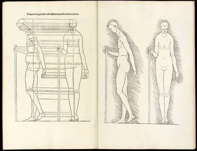 Mujer con bastón, xilografía anatómica de Hierinn sind begriffen vier bücher von menschlicher Proportion, 1528 de Albrecht Dürer