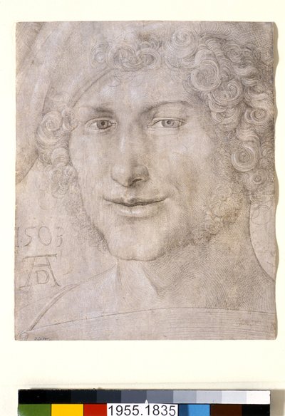 Cabeza de un joven, 1503 de Albrecht Dürer