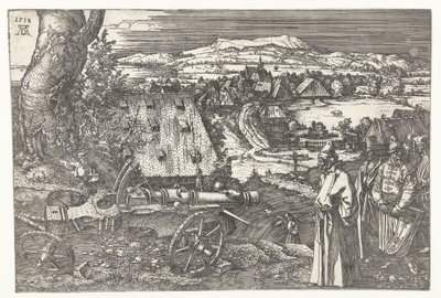 Paisaje con cañón de Albrecht Dürer or Duerer