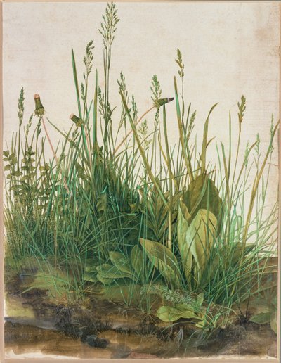 Gran macizo de turba - Das grosse Rasenstueck de Albrecht Dürer or Duerer