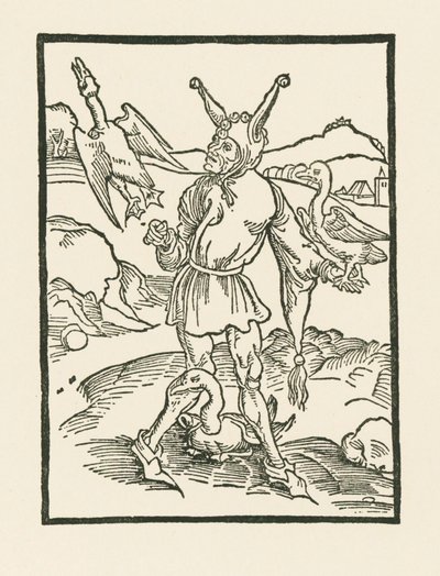 Narr hur as vern de Albrecht Dürer or Duerer