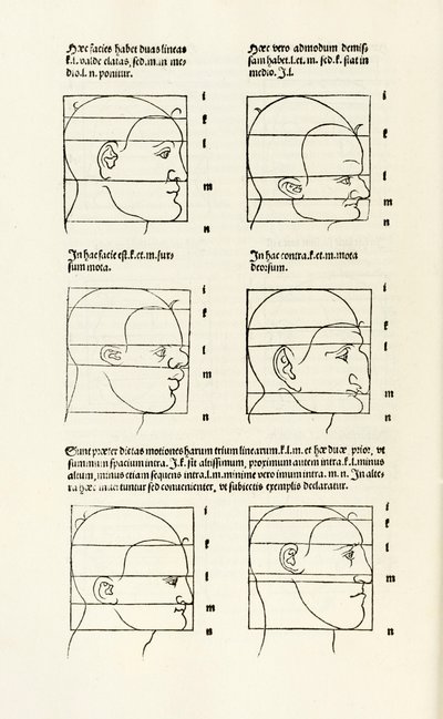 Proporciones de la cabeza humana de 