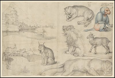 Bocetos de animales y paisajes de Albrecht Dürer