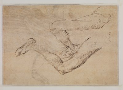 Estudio de una pierna izquierda desde dos puntos de vista de Albrecht Dürer