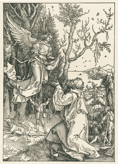 El ángel que trae el mensaje a Joaquín, c.1504 (xilografía) de Albrecht Dürer or Duerer