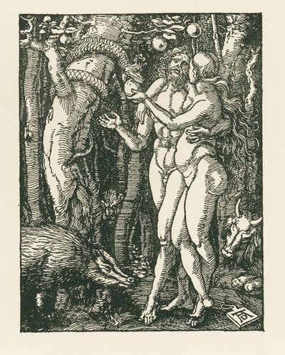 La caída del hombre, c.1510 (xilografía) de Albrecht Dürer or Duerer
