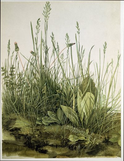 El gran trozo de césped de Albrecht Dürer or Duerer