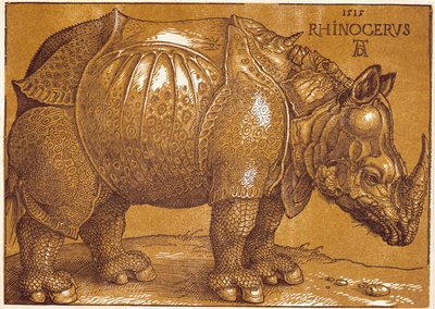 El Rinoceronte de Albrecht Dürer or Duerer
