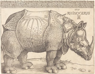 El Rinoceronte de Albrecht Dürer